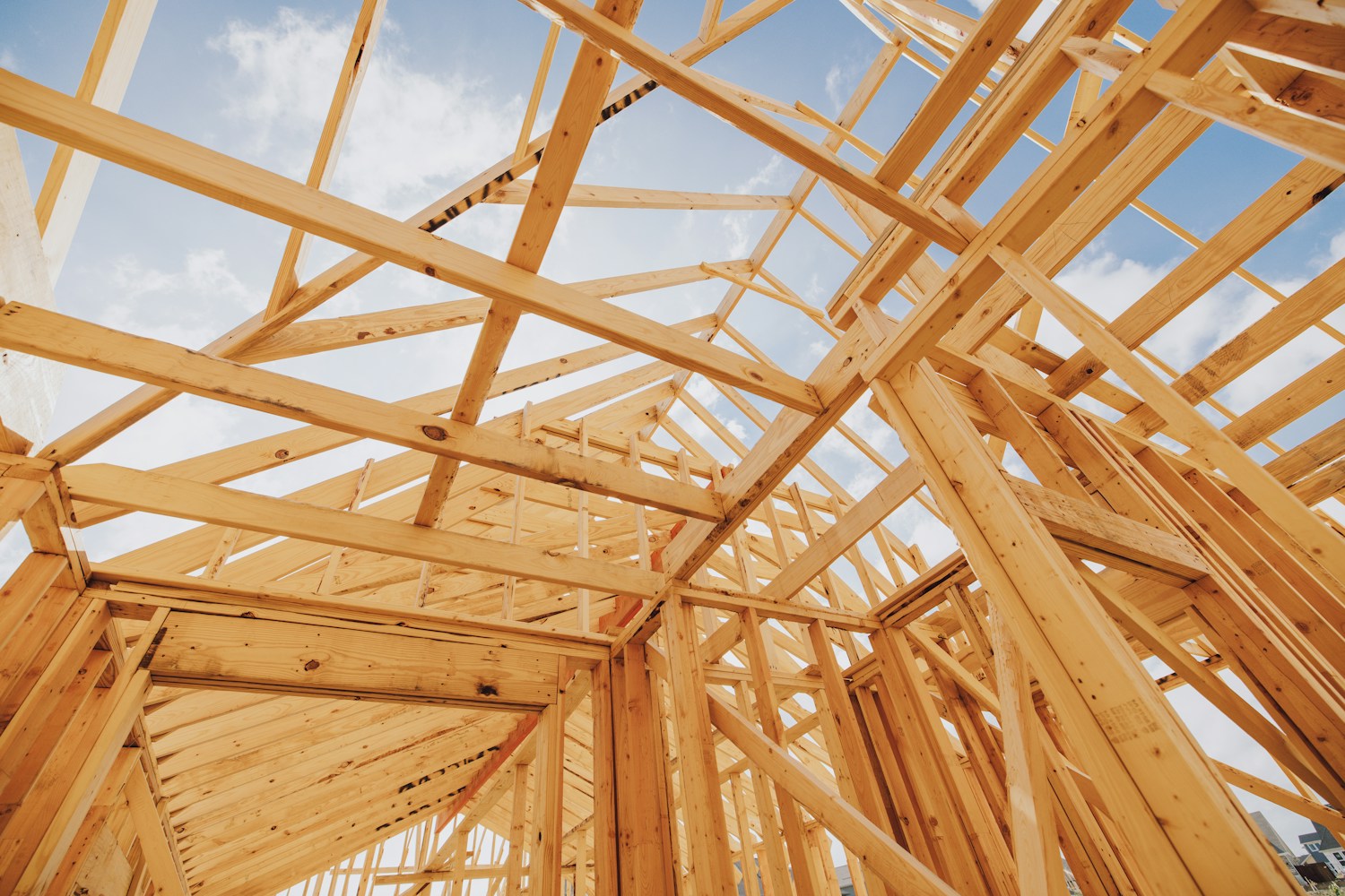 Sunlight falling across timber framing and roof trusses under construction